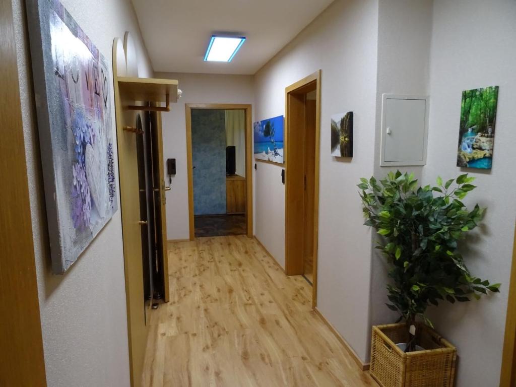 Fotografie z fotogalerie ubytování Ferienwohnung Mühlengrün v destinaci Oberwolfach