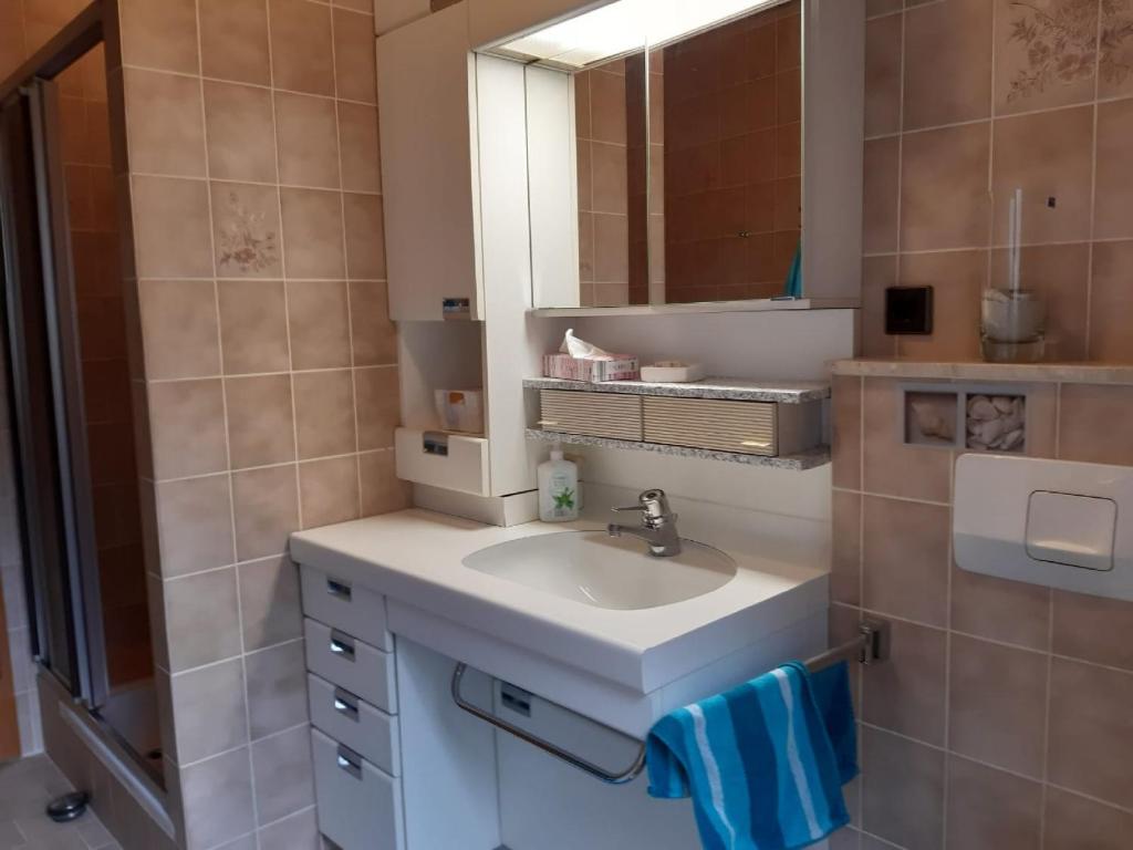 Koupelna v ubytování Ferienwohnung Mühlengrün