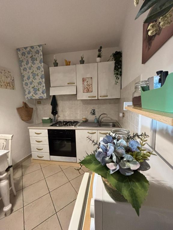 Kuchyň nebo kuchyňský kout v ubytování Un piede nel Chianti