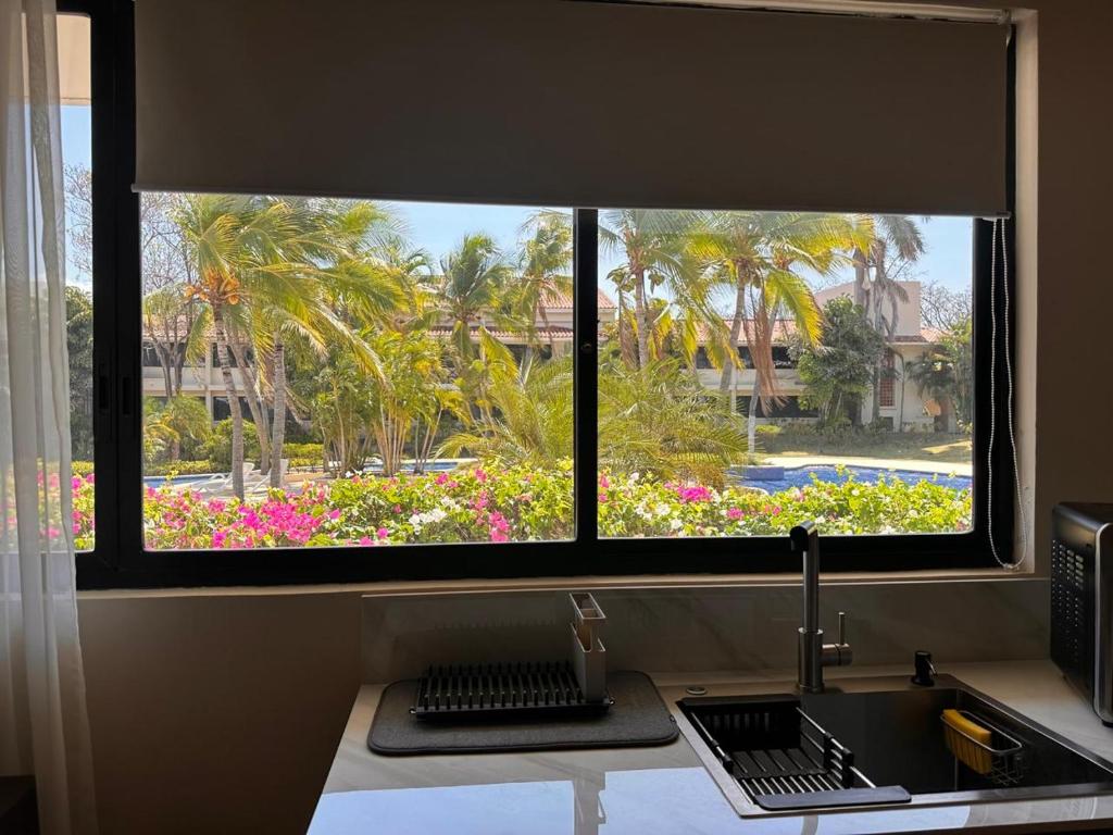 Zahrada ubytování Relaxing Suite at Playa Coronado