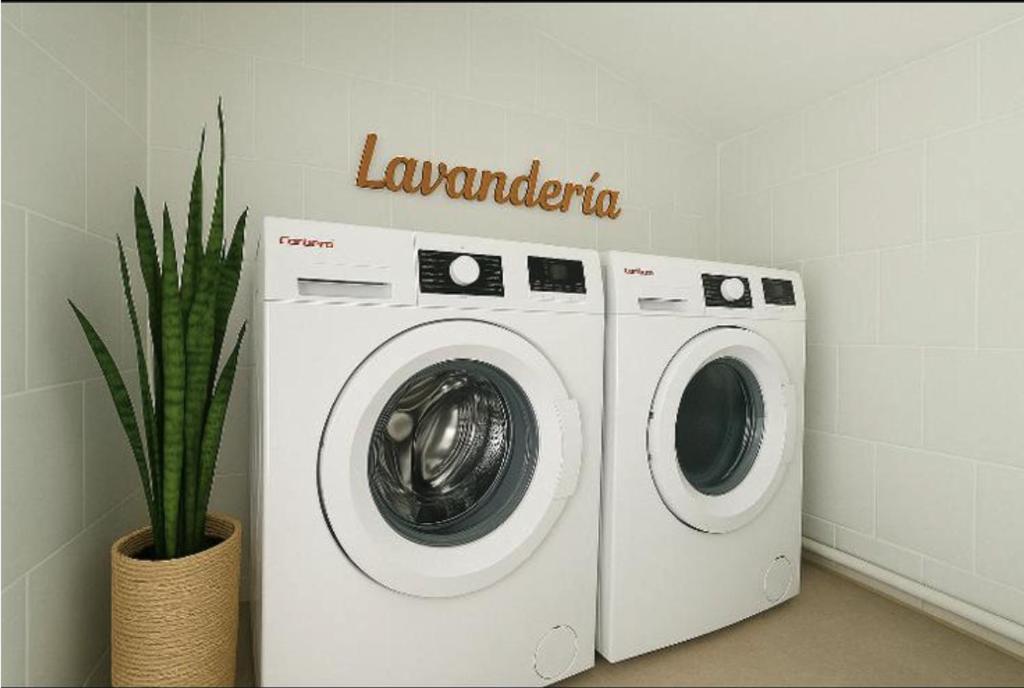 a washer and dryer in a room with a plant at APARTAMENTOS CARMEN in Maro