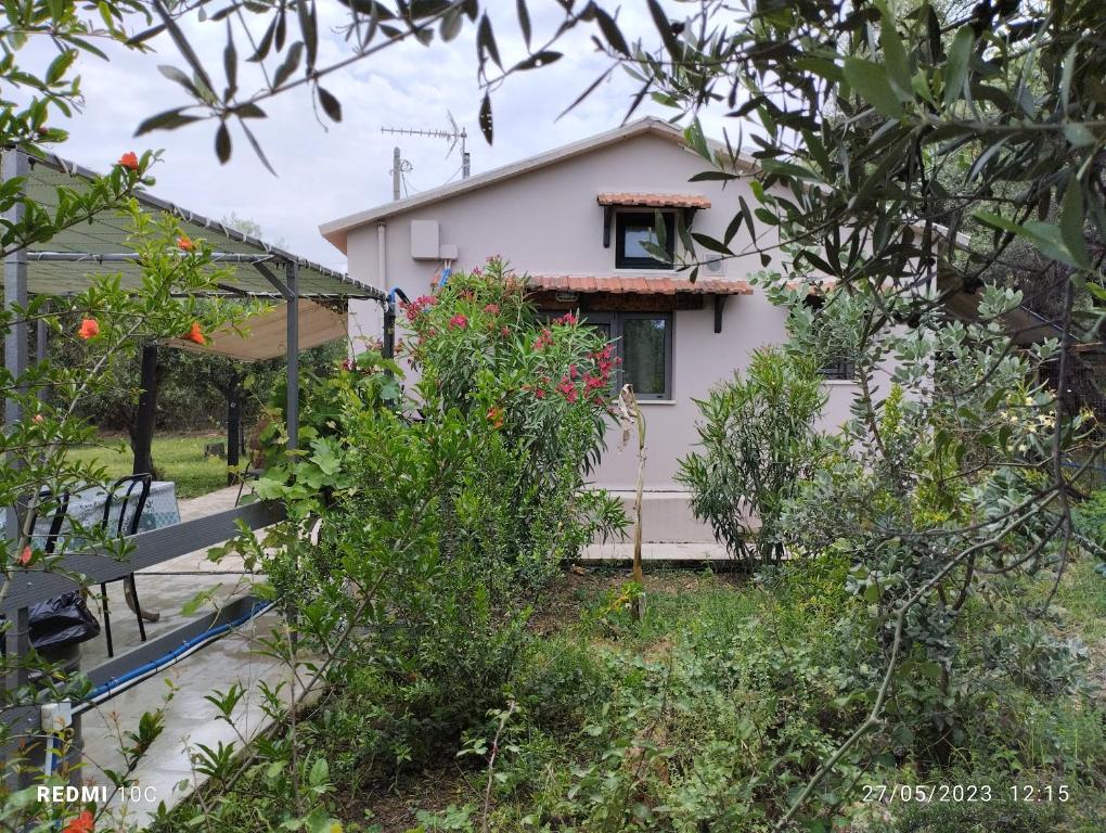 Zahrada ubytování Olea Cottage