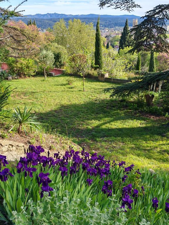 un jardin avec des fleurs violettes dans l'herbe dans l'établissement chambre d'hote de charme 