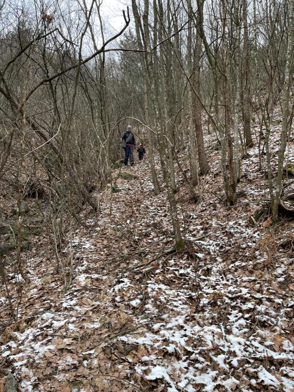 Borjak vikendica v zimě