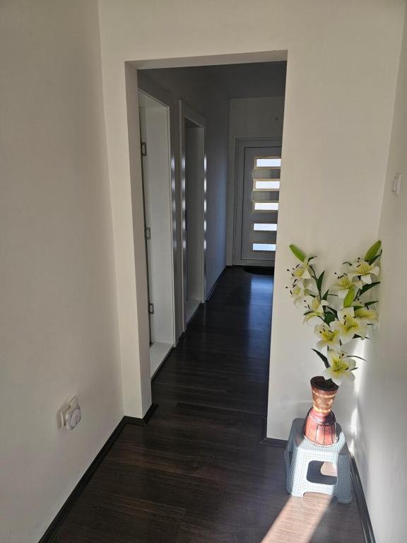 Fotografie z fotogalerie ubytování Ivys apartman v destinaci Ćuprija