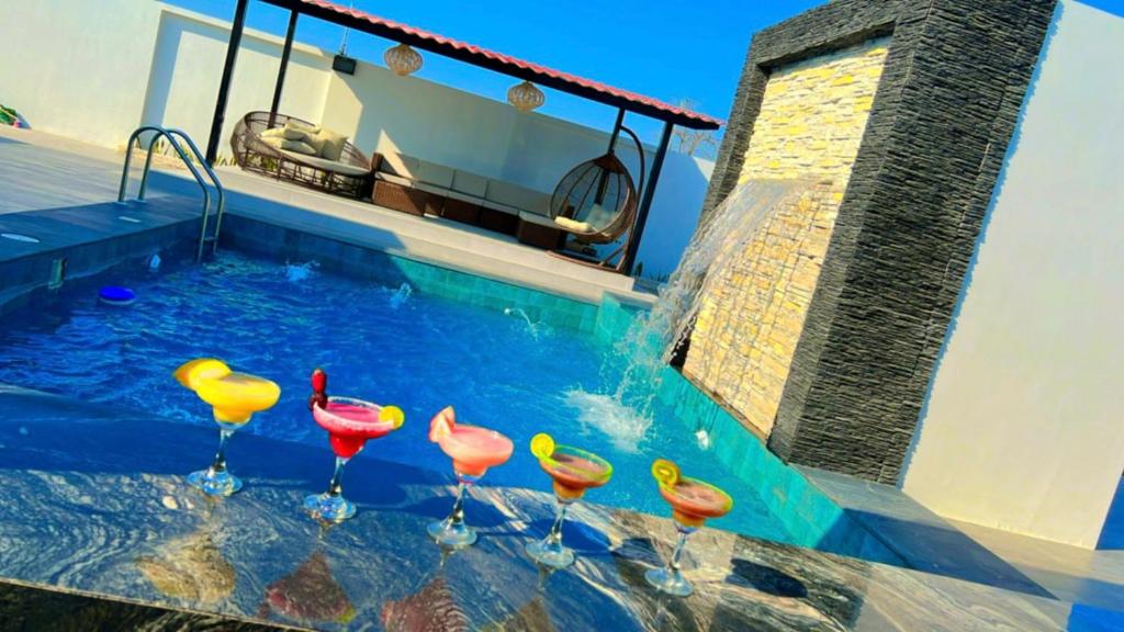 a group of flamingos standing in a swimming pool at Casa Blanca in Playas