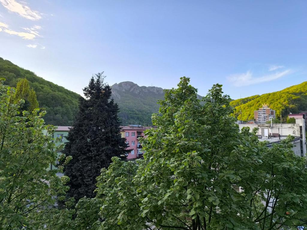 Příroda nedaleko apartmánu