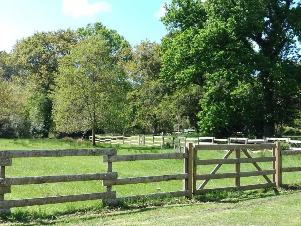 Afbeelding uit fotogalerij van Maison Bel Air in Moliets-et-Maa
