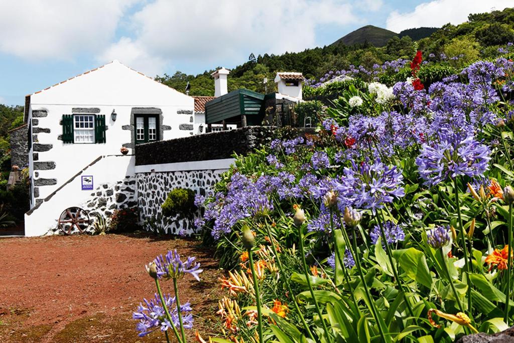 a garden with purple flowers in front of a house at Casas do Capelo in Varadouro