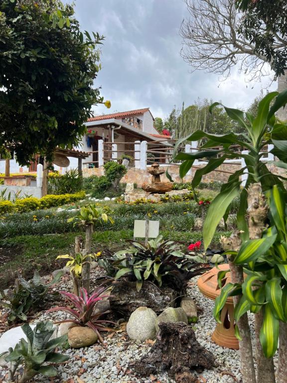 Jardí fora de Hotel Boutique Santa Clara Mesa de los Santos