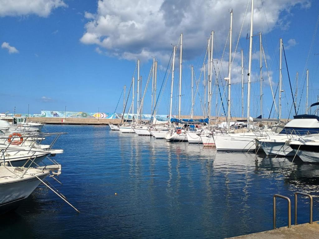 a bunch of boats docked in a harbor at La Terrazza Di Chiara in La Caletta