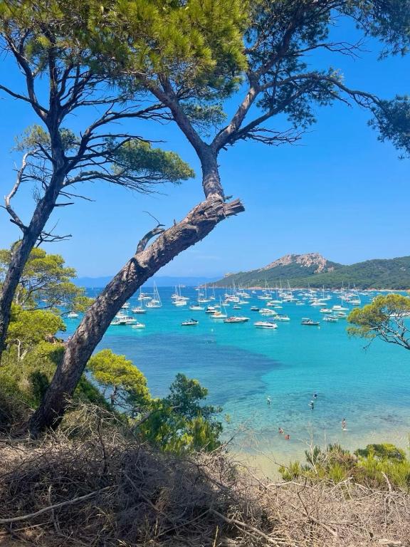 - une vue sur une baie avec des bateaux dans l'eau dans l'établissement Studio Port Hyères Vue Mer - Wifi - Climatisation, à Hyères