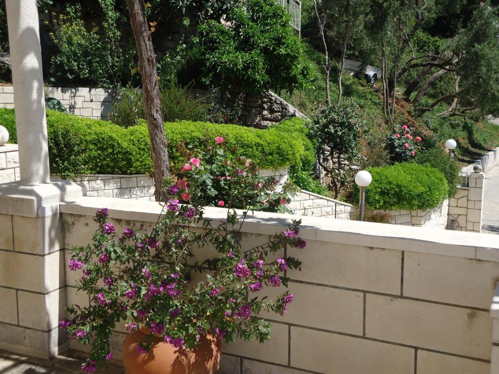 Vonkajšia záhrada v ubytovaní Peric Rooms Dubrovnik