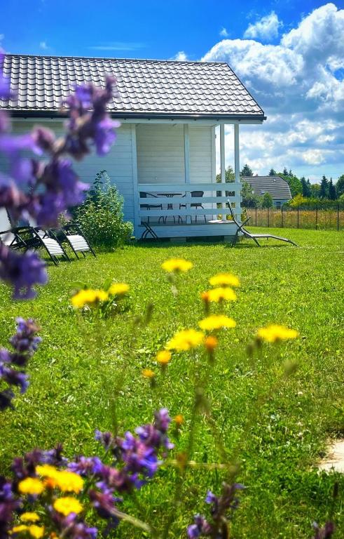 a field of flowers in front of a house at Domki na górce in Kołczewo