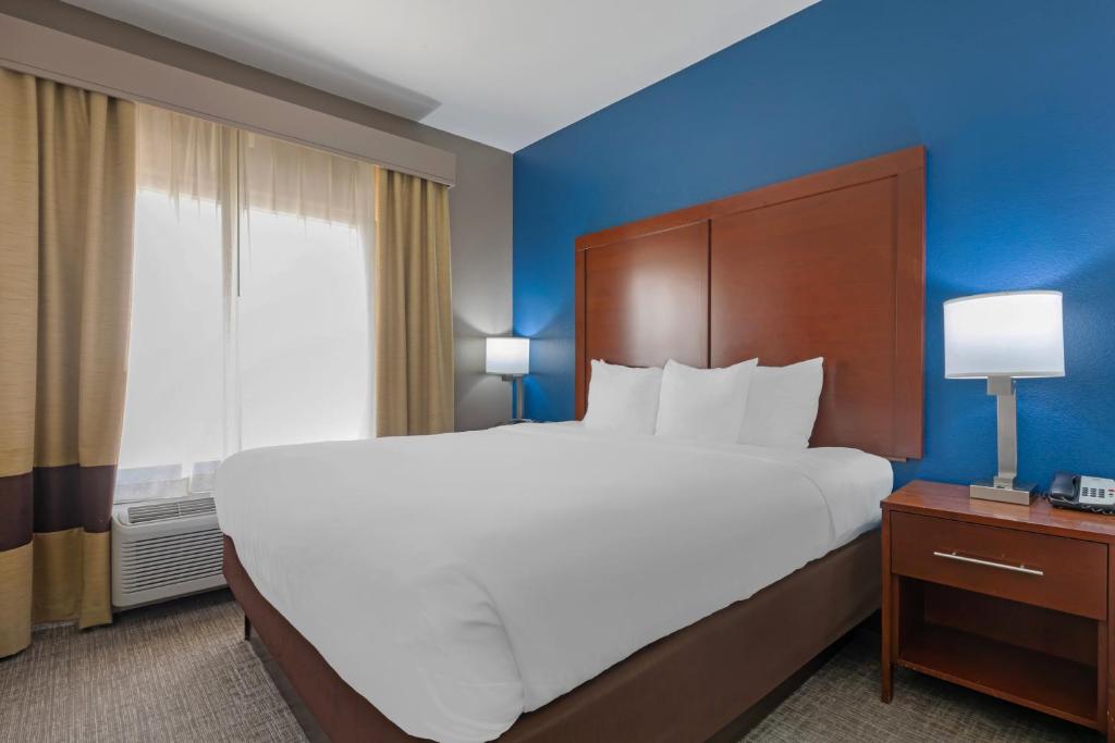 Comfort Suites DFW N-Grapevine photo