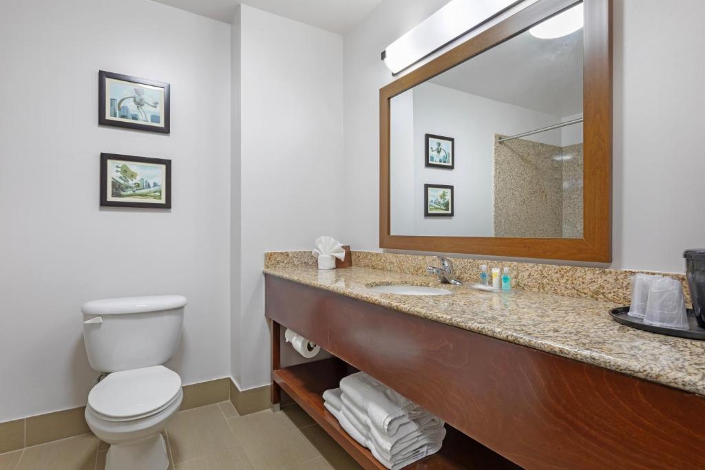 Comfort Suites DFW N-Grapevine photo