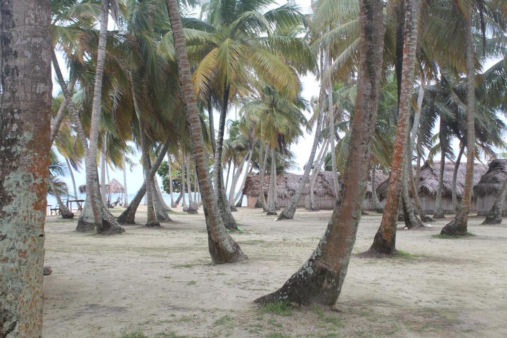 Paisagem natural perto do alojamento de turismo selvagem