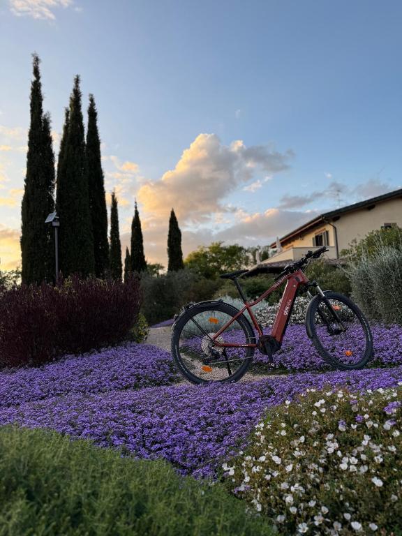 a bike parked in a field of flowers at Casale Terre Rosse in Saturnia