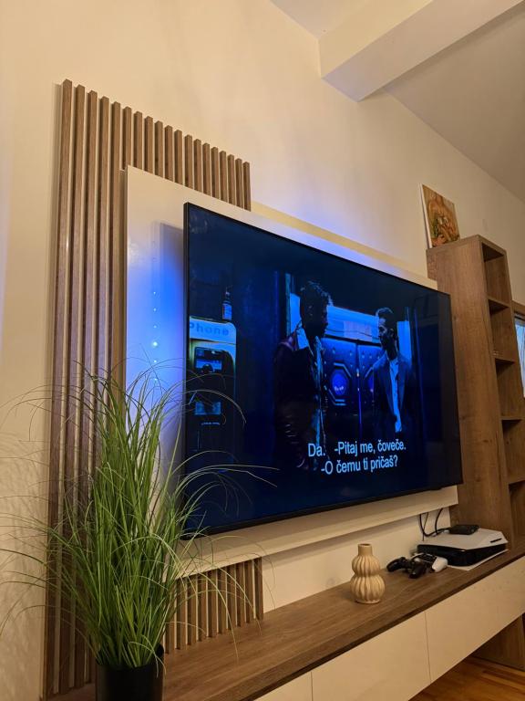 TV a/nebo společenská místnost v ubytování Apartman Golden Crown