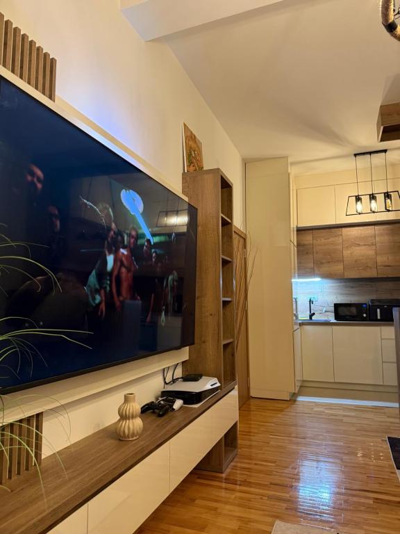 Kuchyň nebo kuchyňský kout v ubytování Apartman Golden Crown