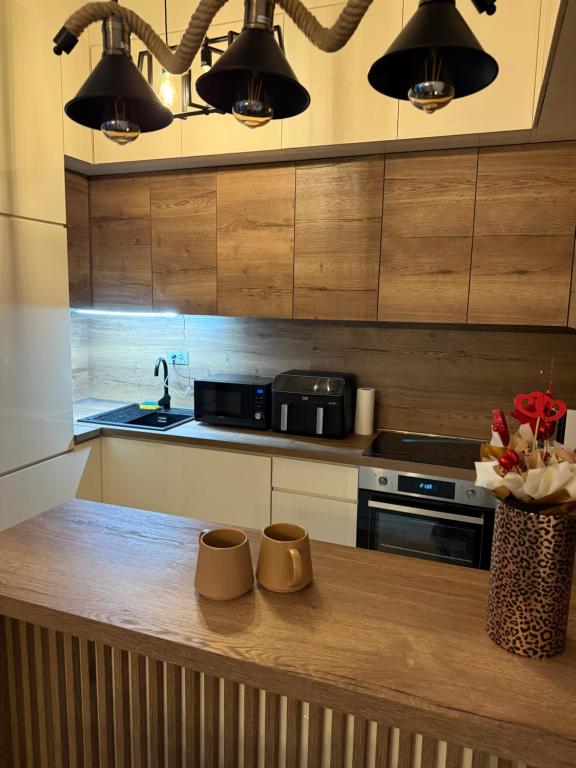 Kuchyň nebo kuchyňský kout v ubytování Apartman Golden Crown