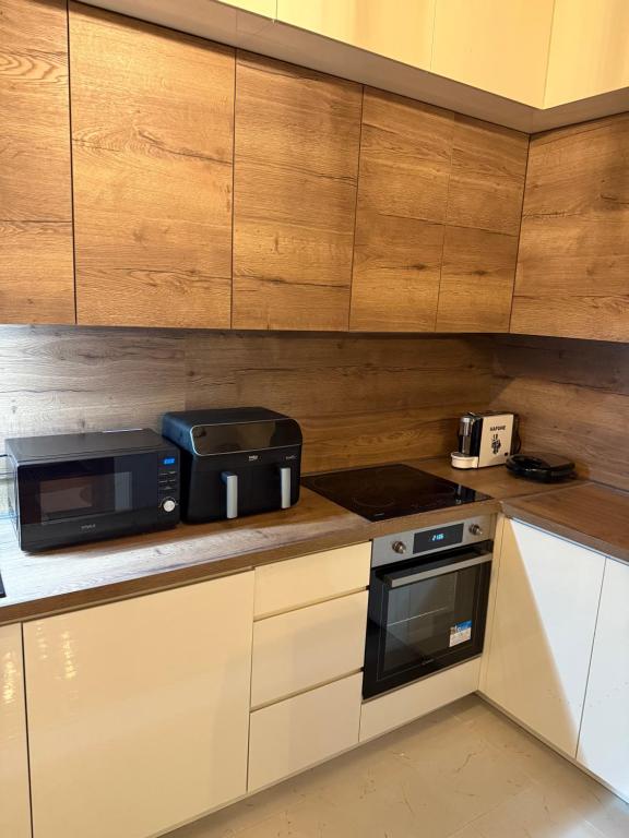 Kuchyň nebo kuchyňský kout v ubytování Apartman Golden Crown