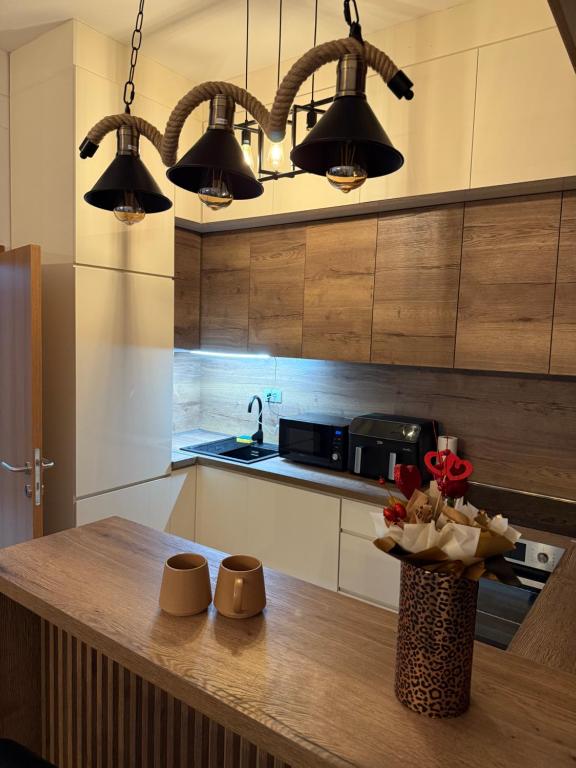 Kuchyň nebo kuchyňský kout v ubytování Apartman Golden Crown