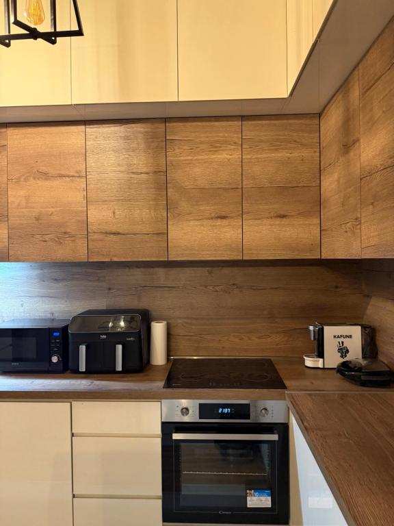 Kuchyň nebo kuchyňský kout v ubytování Apartman Golden Crown