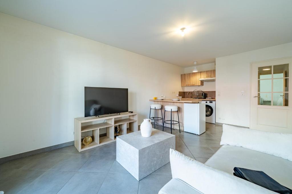 un salon avec un canapé et une télévision dans l'établissement Cozy 2P Port de Nice garage, à Nice