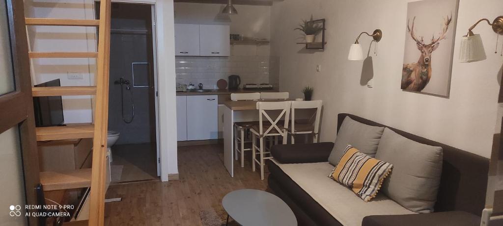 Kuhinja ili čajna kuhinja u objektu Apartmani Jovanovic