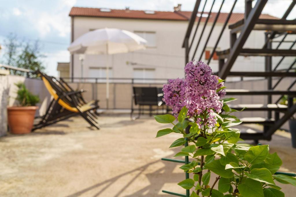 Apartman ZEUS