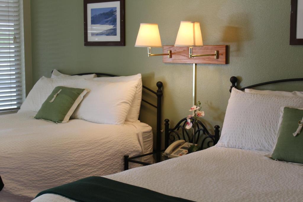 a bedroom with two beds and a lamp on a table at Trees Motel in Bishop