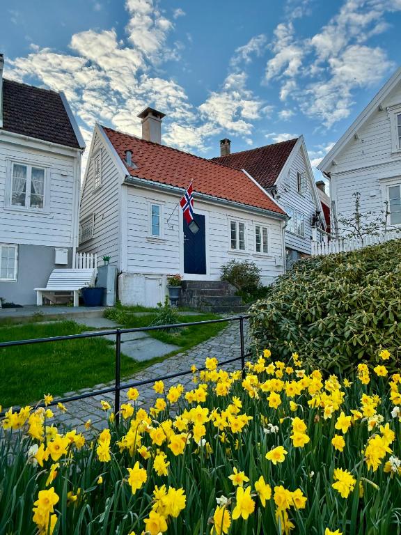 a group of houses with yellow flowers in front of them at Unique 200-year old tiny house in Old town in Stavanger