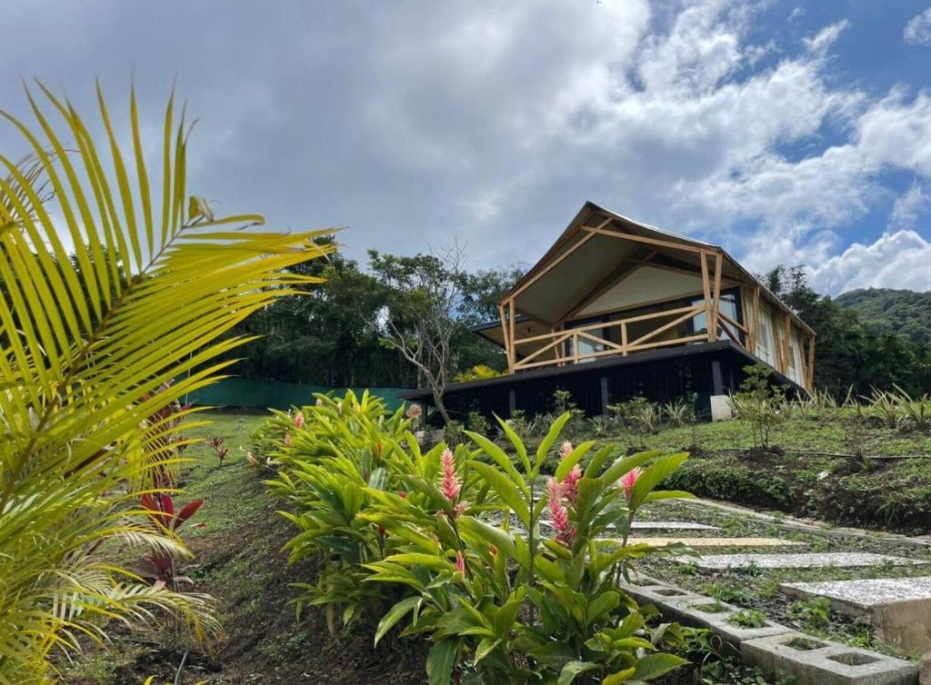 Zahrada ubytování Safari Tent El Cielo