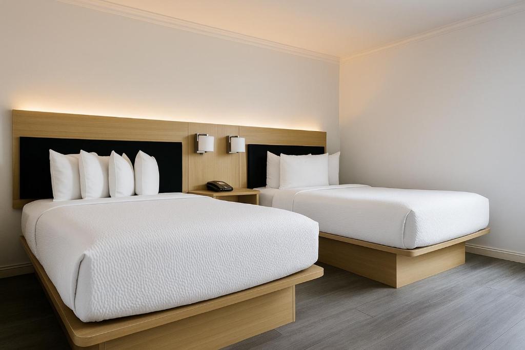 The Live Hotel photo
