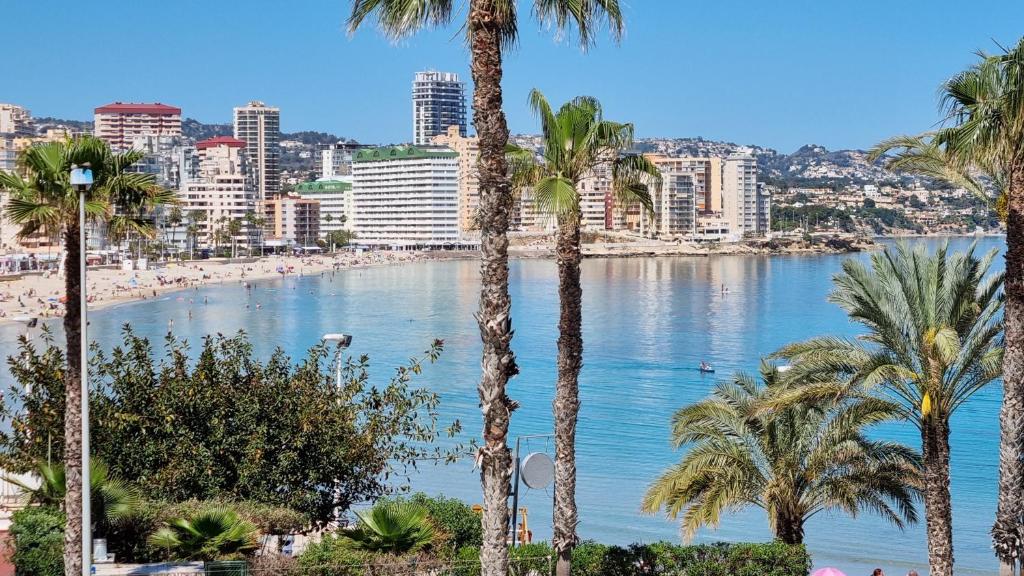 een uitzicht op een strand met palmbomen en een stad bij Magic holiday - 1st line, seaview, pool & parking in Ifach