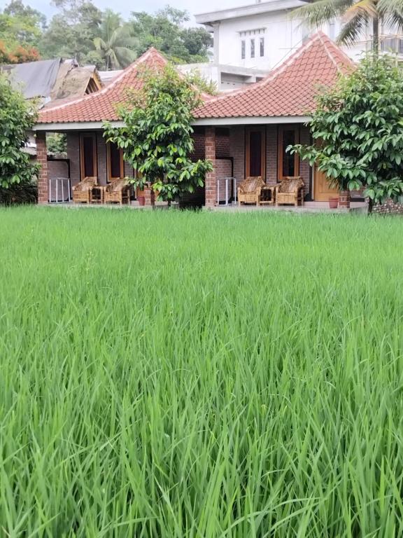 Tereng Wilis bungalows - 14