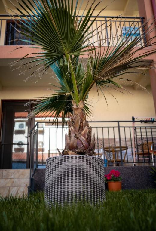 Zahrada ubytování Casa Daymar 2 Mai
