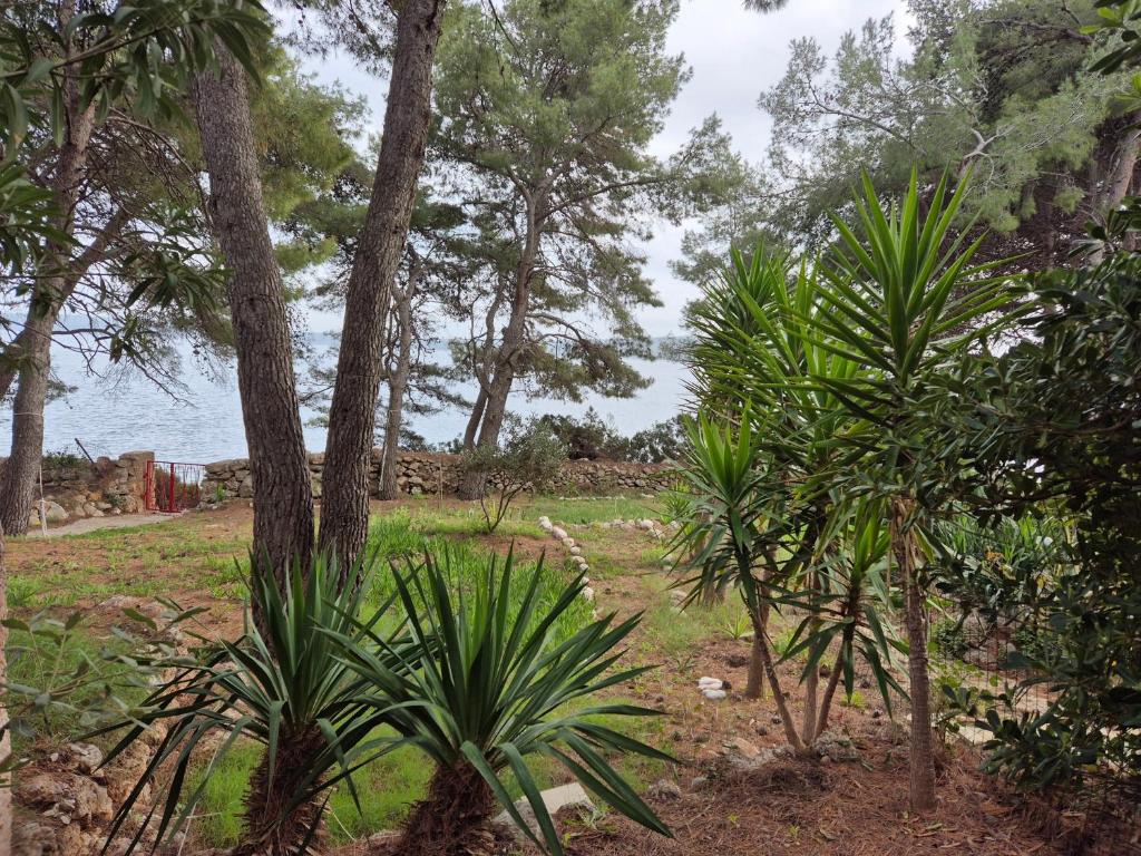 Vonkajšia záhrada v ubytovaní Apartments by the sea Zavala, Hvar - 8774