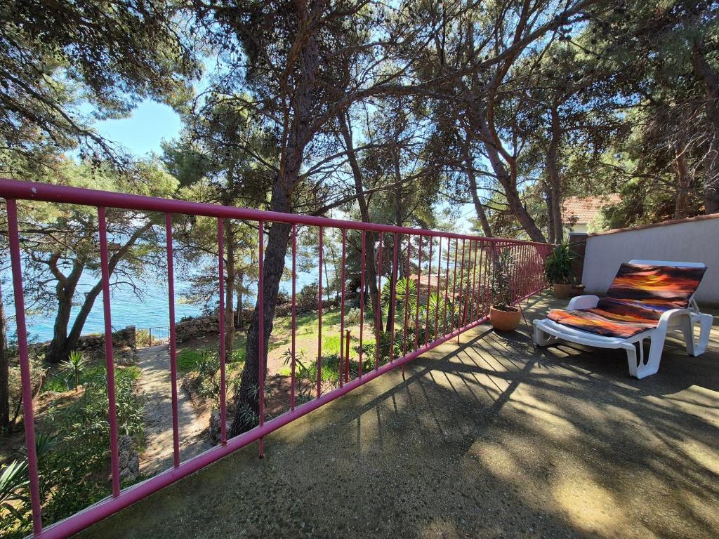 Príroda v okolí apartmánu