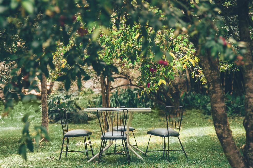 Zahrada ubytování Hotel Hacienda Baza