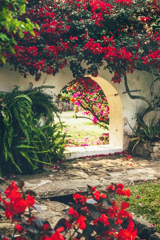 Zahrada ubytování Hotel Hacienda Baza