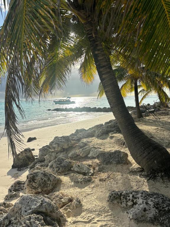 Φυσικό τοπίο κοντά σε αυτό το διαμέρισμα