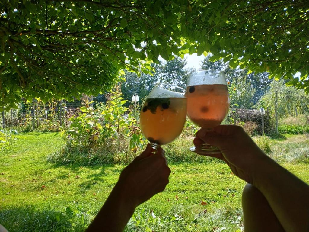 Nápoje v ubytování Natuurglamping 't Wijland