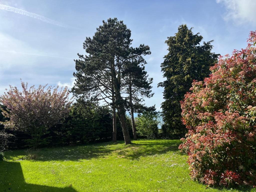 zwei Bäume in einem Garten mit Gras und Blumen in der Unterkunft MAISON DE FAMILLE ENTRE MER ET CAMPAGNE à 5 MN DE LA PLAGE in Blainville-sur-Mer