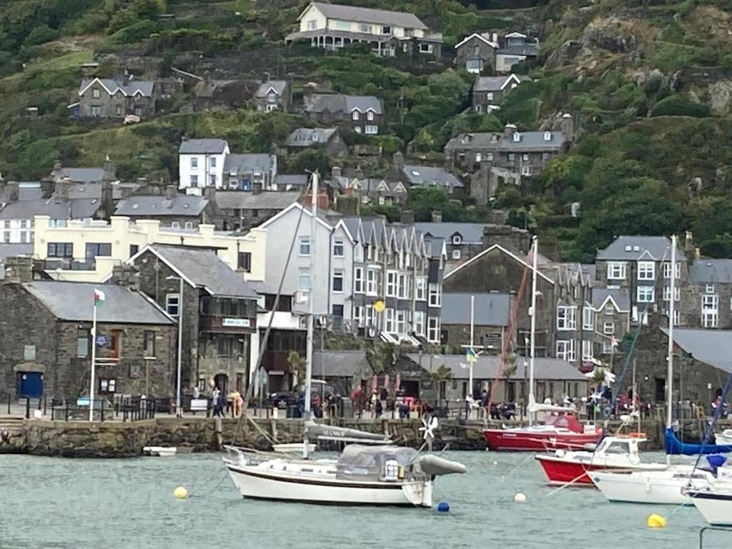 eine Gruppe von Booten im Wasser in einem Hafen in der Unterkunft The Cottage on the Rock in Barmouth