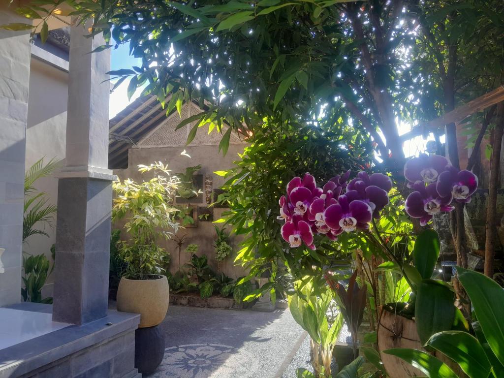 Zahrada ubytování Tirta Sari House