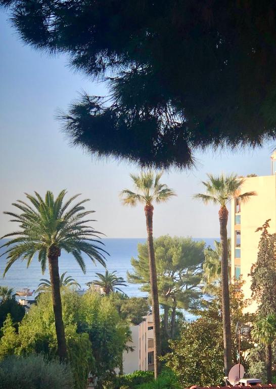 un groupe de palmiers devant un bâtiment dans l'établissement Appartement T3 plage et festival, à Cannes