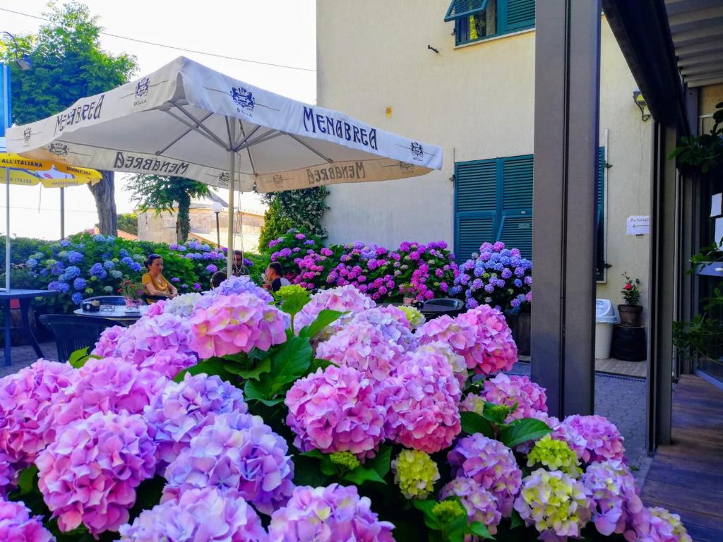 Zahrada ubytování Hotel Silvia Framura - Cinque Terre