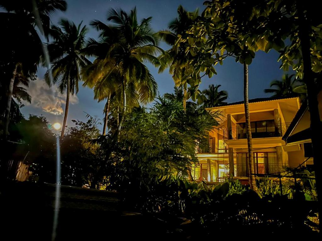 ein Haus mit Palmen davor in der Unterkunft Waterwoods Boutique Resort & Villas Havelock in Havelock Island